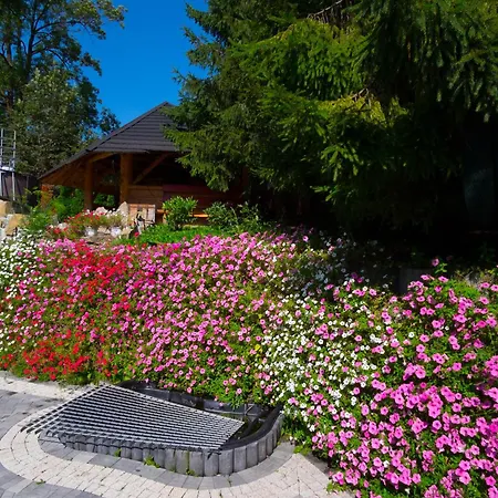 Daglezja * ザコパネ